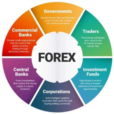 GO Markets - Volume Rabat untuk Trader - Portal Broker Forex